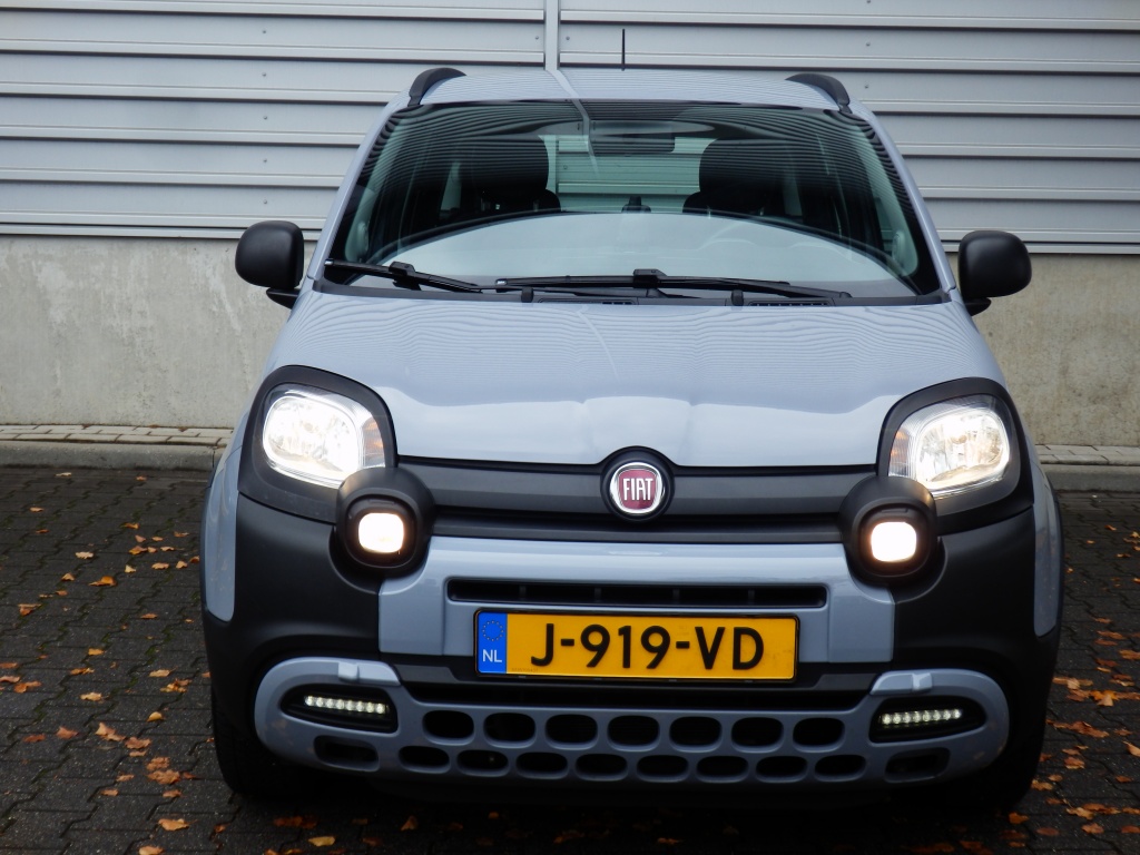 48126448-1.jpg