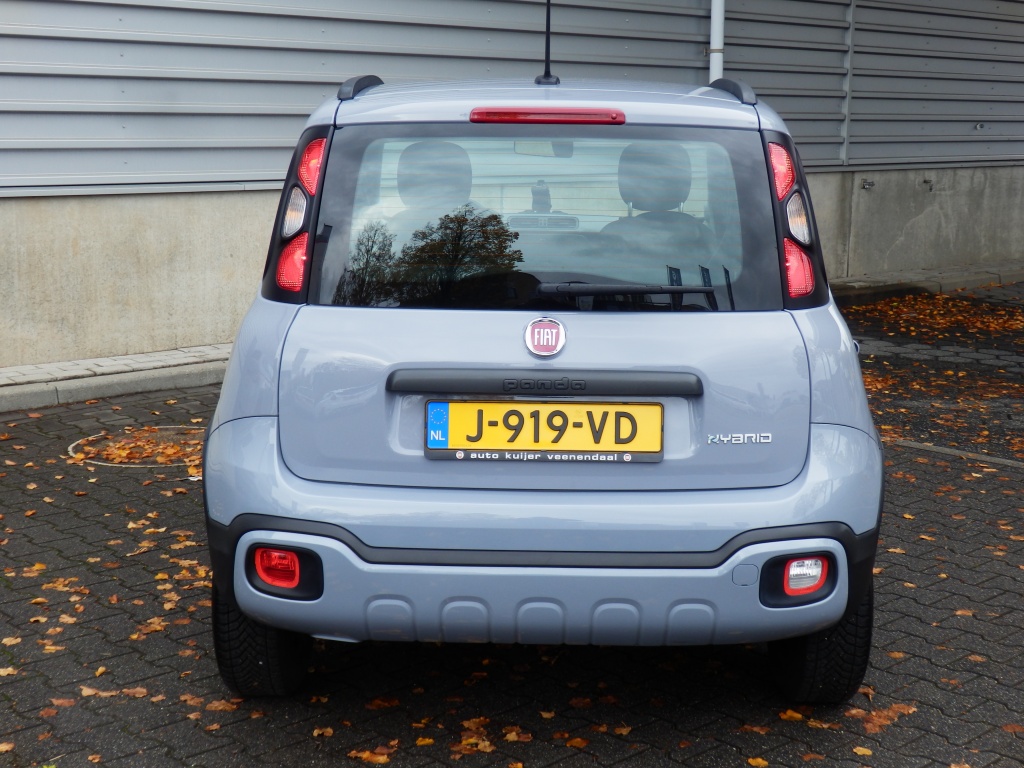 48126448-2.jpg