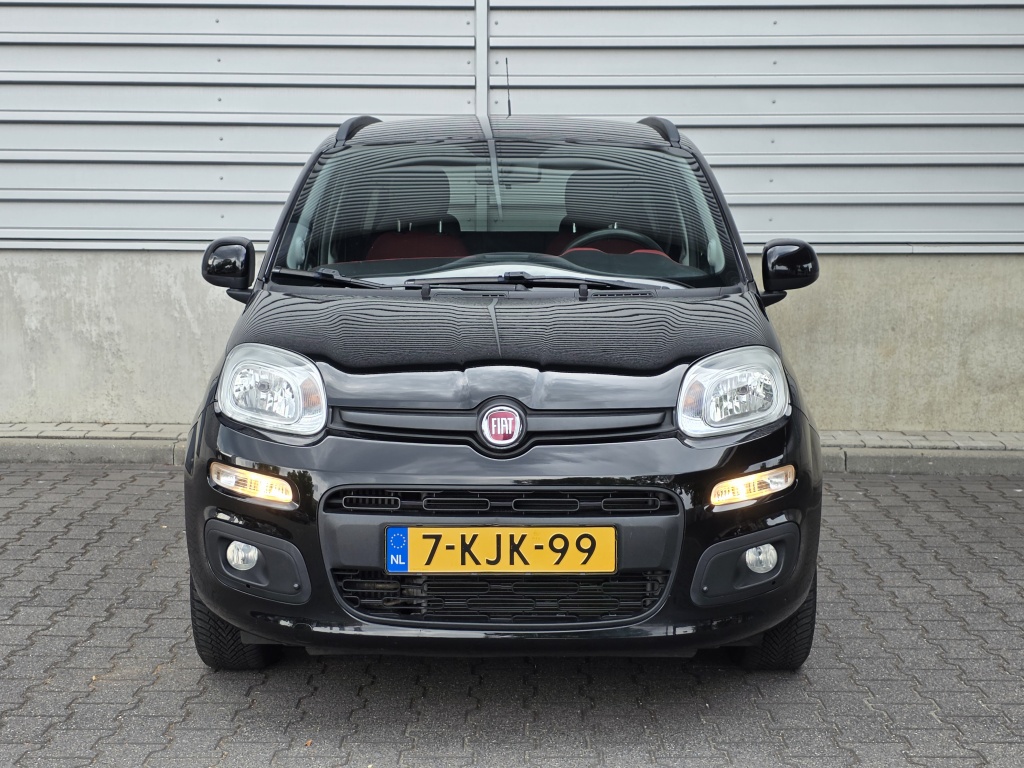 55022536-2.jpg
